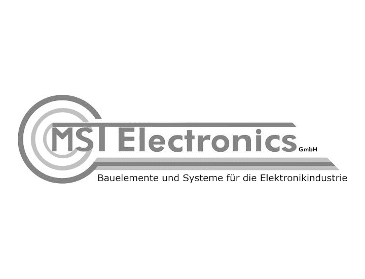 MST Electronics, Lüneburg